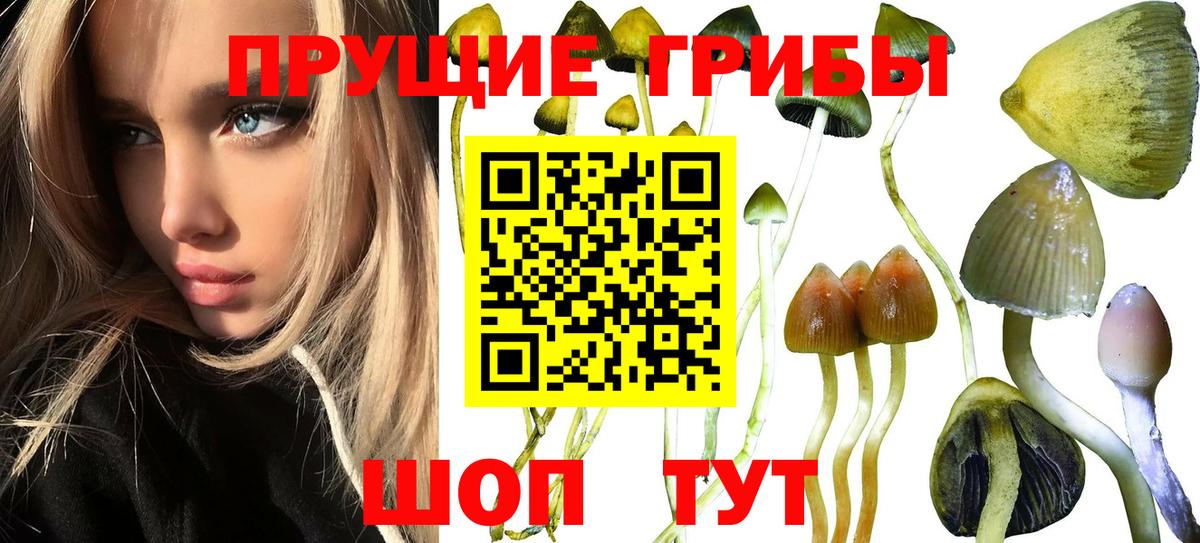 Галлюциногенные грибы мухоморы Павловский Посад