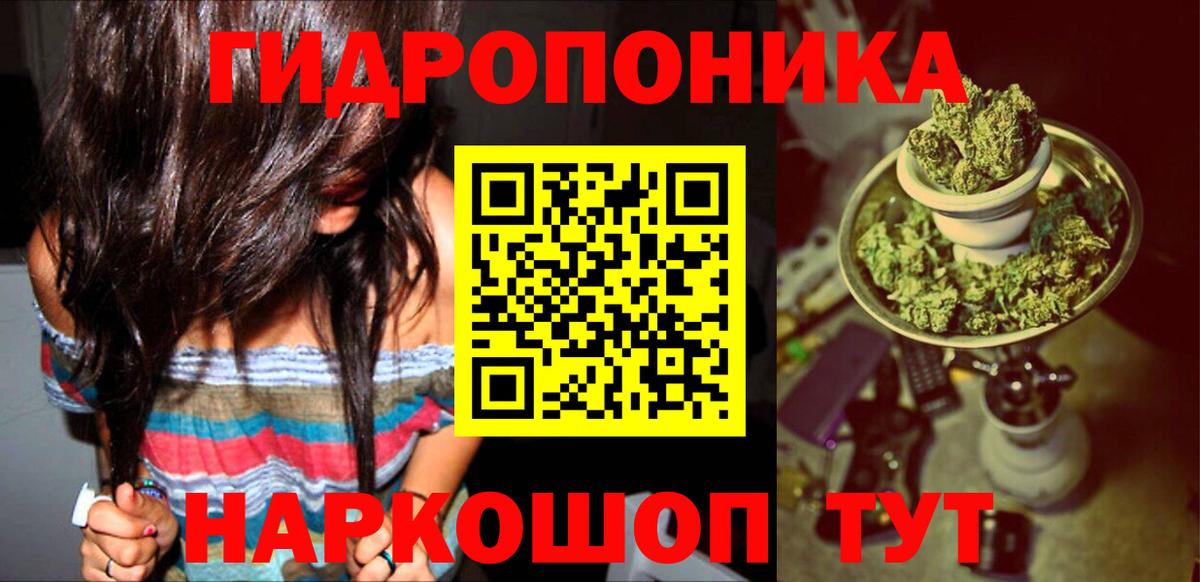 Шишки марихуана марихуана Павловский Посад
